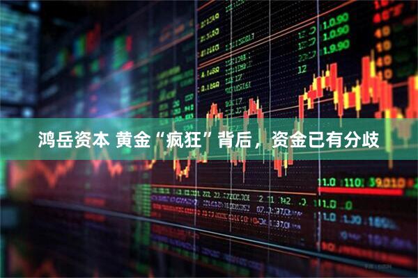 鸿岳资本 黄金“疯狂”背后，资金已有分歧