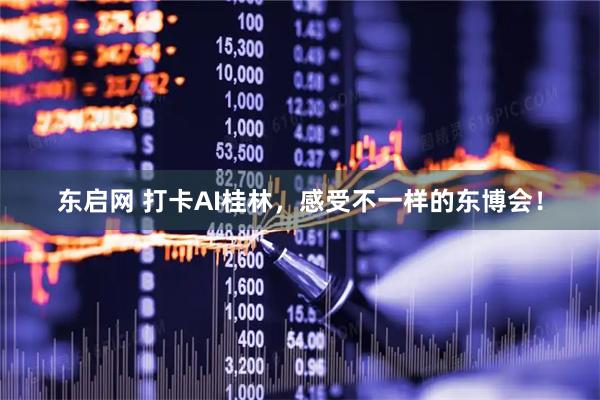 东启网 打卡AI桂林，感受不一样的东博会！