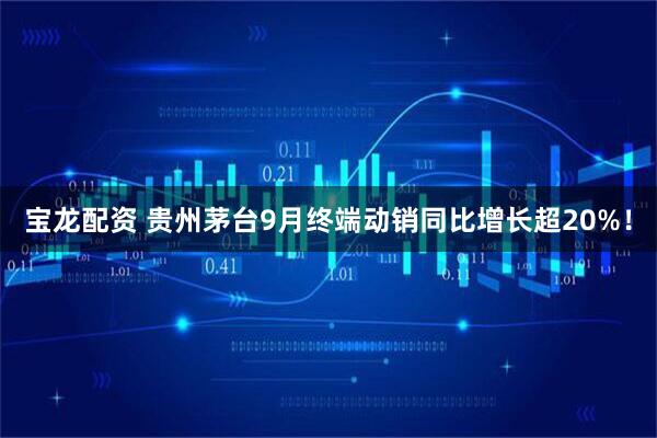 宝龙配资 贵州茅台9月终端动销同比增长超20%！