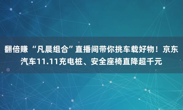 翻倍赚 “凡晨组合”直播间带你挑车载好物！京东汽车11.11充电桩、安全座椅直降超千元