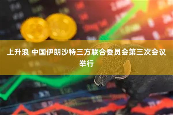 上升浪 中国伊朗沙特三方联合委员会第三次会议举行