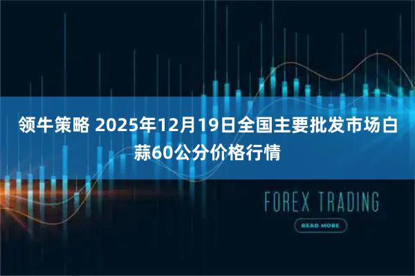 领牛策略 2025年12月19日全国主要批发市场白蒜60公分价格行情