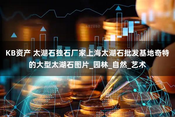 KB资产 太湖石独石厂家上海太湖石批发基地奇特的大型太湖石图片_园林_自然_艺术