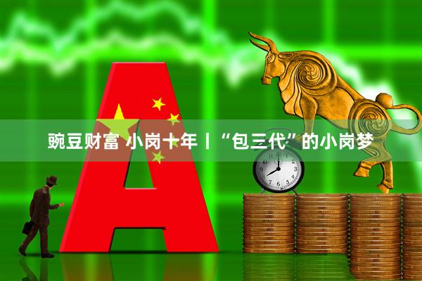 豌豆财富 小岗十年丨“包三代”的小岗梦
